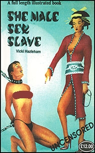 English novelette cover